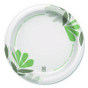 Pathways Soak-Proof Shield Mediumweight Paper Plates, Wisesize, 8.5" Dia, Green/Burgundy, 125/Pack