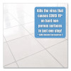 No-Rinse Floor Disinfectant, 1 Gal, 4/Carton