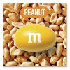 Milk Chocolate Candies, Milk Chocolate And Peanuts, 38 Oz Bag