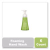 Foaming Hand Wash, Green Tea And Aloe Scent, 10 Oz, 6/Carton