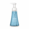 Foaming Hand Wash, Sea Minerals Scent, 10 Oz