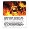 Fire D One Shot Aerosol, 5 Oz Aerosol Spray, 12/Carton