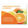 Super Odor Eliminator, Mandarin Orange And Fresh Lemon, 14 Oz Jar