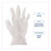 Exam Vinyl Gloves, Powder-Free, Large, 3.6 Mil Thick, 9.5" Long, Clear, 100/Box