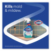 Bathroom Foamer With Bleach, Ocean Mist Scent, 30 Oz Spray Bottle, 9/Carton