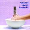 Antibacterial Hand Soap, White Tea And Berry Fusion Scent, 11.25 Oz