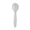 Plastic Cutlery, Heavyweight Soup Spoon, White, 100/Box, 10 Boxes/Carton