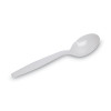 Plastic Cutlery, Heavyweight Soup Spoon, White, 100/Box, 10 Boxes/Carton