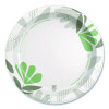 Pathways Soak Proof Shield Heavyweight Paper Plates, 10.13" Dia, Green/Burgundy, 125/Pack