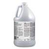 Tarnish Remover, 1 Gal Bottle