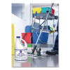 Liquid Germicidal Bleach, Fragrance-Free, 1 Gal Bottle, 6/Carton