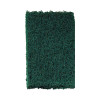 Heavy-Duty Scouring Pad, 3.8 x 6, Green, 10/Carton