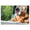 Half Facepiece Paint Spray/Pesticide Respirator, Large