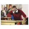 Half Facepiece Paint Spray/Pesticide Respirator, Large