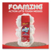 Foam Carpet Cleaner, Unscented,  Foam, 22 Oz Aerosol Spray