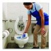 Disinfectant Toilet Bowl Cleaner, Wintergreen Scent, 32 Oz Bottle