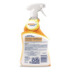 Kitchen Pro Antibacterial Cleaner, 22 Oz Spray Bottle