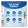 Kitchen Pro Antibacterial Cleaner, 22 Oz Spray Bottle