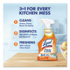 Kitchen Pro Antibacterial Cleaner, 22 Oz Spray Bottle
