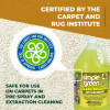 Clean Building Carpet Cleaner Concentrate, Unscented, 1Gal Bottle