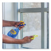 Streak-Free Glass Cleaner, 32 Oz Spray Bottle