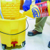 Floor Stripper, 1 Gal Bottle