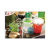 Newspring Delitainer Microwavable Container, 12 Oz, 4.55 x 2.45 x 2.45, Clear, Plastic, 240/Carton