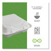 Vanguard Renewable And Compostable Sugarcane Clamshells, 9 x 9 x 3, White, 200/Carton