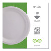 Vanguard Renewable And Compostable Sugarcane Plates, 10" Dia, White, 500/Carton