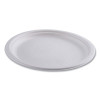 Vanguard Renewable And Compostable Sugarcane Plates, 10" Dia, White, 500/Carton