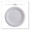 Vanguard Renewable And Compostable Sugarcane Plates, 10" Dia, White, 500/Carton