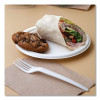 Vanguard Renewable And Compostable Sugarcane Plates, 10" Dia, White, 500/Carton