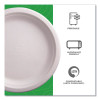 Vanguard Renewable And Compostable Sugarcane Plates, 9" Dia, White, 500/Carton