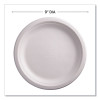 Vanguard Renewable And Compostable Sugarcane Plates, 9" Dia, White, 500/Carton