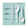 Fieldware Cutlery, Mediumweight Spoon, Plastic, White, 1,000/Carton