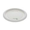 Earthchoice Pressware Compostable Dinnerware, Plate, Paper, 10" Dia, White, 300/Carton
