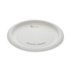 Earthchoice Pressware Compostable Dinnerware, Plate, Paper, 10" Dia, White, 300/Carton