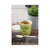 Earthchoice Compostable Soup Cup Large, 16 Oz, 3.63" Diameter x 3.88" h, Green, Paper, 500/Carton