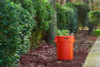 Brute Round Container, 44 Gal, Plastic, Orange