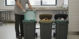 Best Compostable Trash Bags for Commercial Facilities: A Buyer Guide