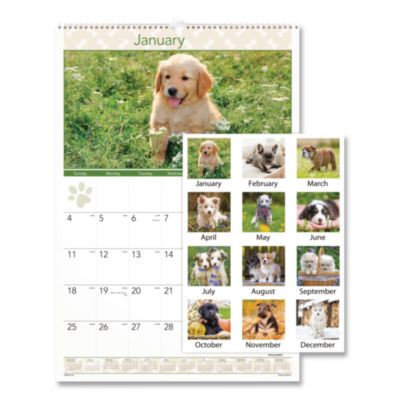 Puppies Monthly Wall Calendar, Puppies Photography, 15.5 x 22.75, White/Multicolor Sheets, 12-Month (Jan To Dec): 2026