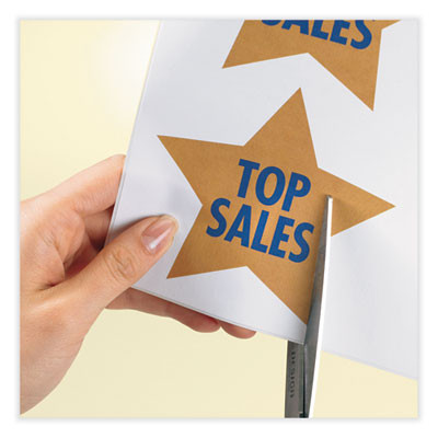 Full-Sheet Vibrant Inkjet Color-Print Labels, 8.5 X 11, Matte White, 20/Pack