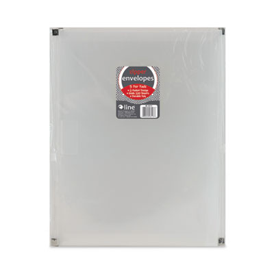 Zip 'n Go Reusable Envelope With Outer Pocket, 1" Capacity, 2 Sections, 10 X 13, Clear, 3/Pack