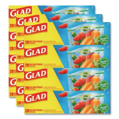 Zipper Food Storage Plastic Bags, Gallon Size, 10.75 x 10.19, Clear, 20 Bags/Box, 12 Boxes/Carton