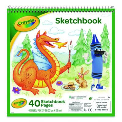 Wirebound Sketchbook, Animal Animations Gold/Green Cover, Unruled, (40) White 9 x 9 Sheets