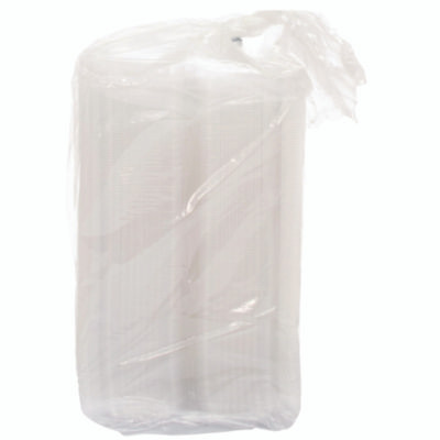 Staylock Clear Hinged Lid Containers, 4.5 x 8.5 x 2.1, Clear, Plastic, 250/Carton