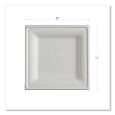 Vanguard Renewable And Compostable Sugarcane Plates, 6 x 6, White, 500/Carton