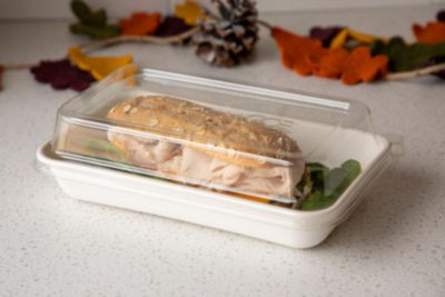 Worldview 100% Recycled Content Lid, 10.82 x 10.71 x 1.83, Clear, Plastic, 200/Carton