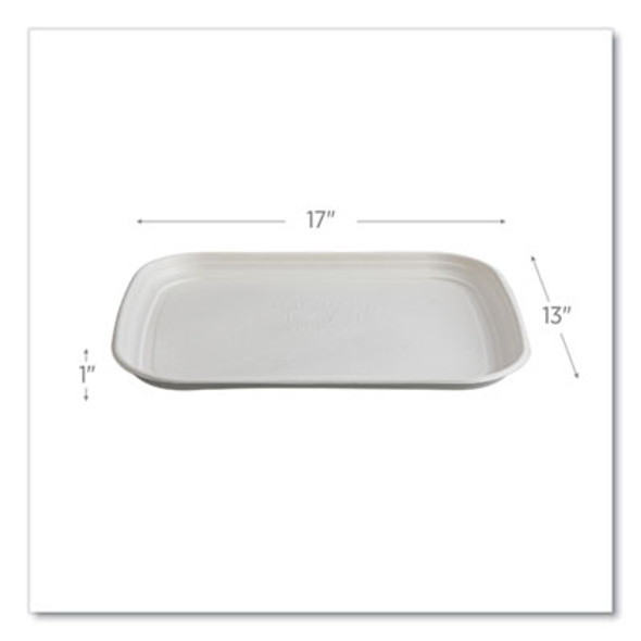 Regalia Sugarcane Servingware, Platter, 13 x 17, White, 100/Carton