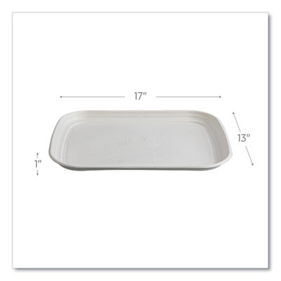 Regalia Sugarcane Servingware, Platter, 13 x 17, White, 100/Carton